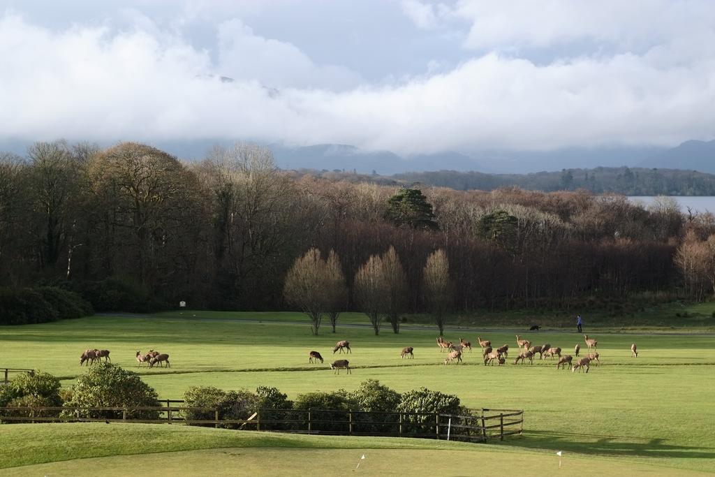 Castlerosse Park Resort Killarney Exterior foto